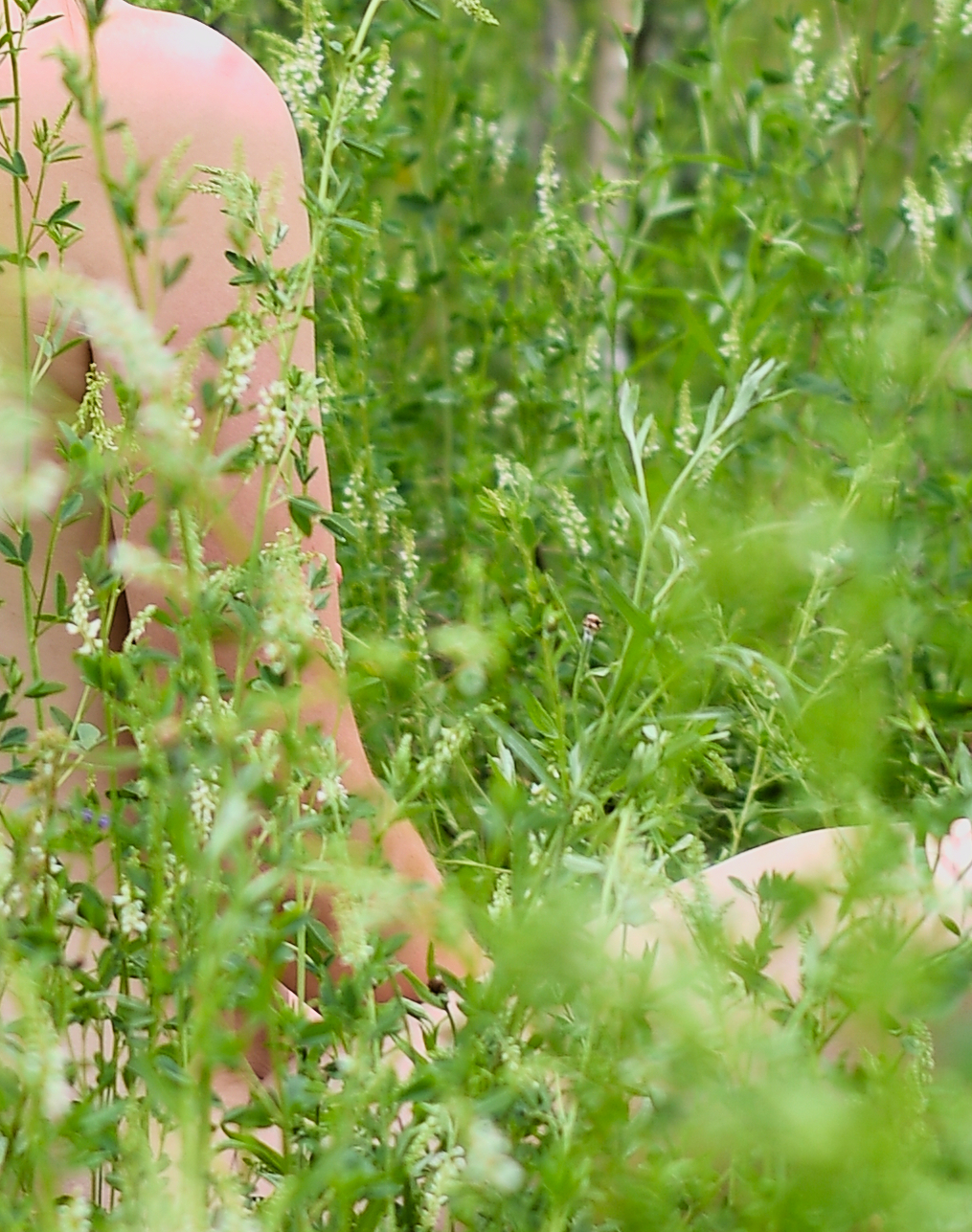 Soojas valguses kere portree